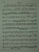 Notenbeispiel / Music example Viola