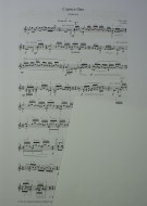 Umschlag / Cover 2