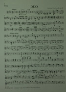 Notenbeispiel / Music example Viola