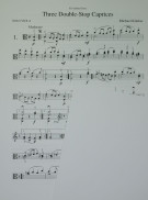 Umschlag / Cover 2