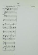 Umschlag / Cover 2