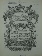 Umschlag / Cover